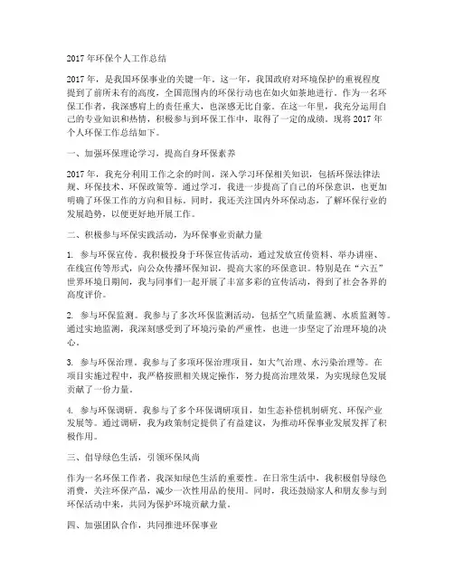 17年环保个人工作总结