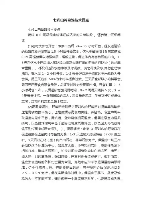 七彩山鸡育雏技术要点