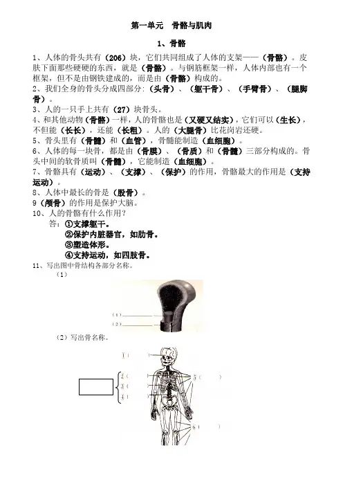 小学四年级科学下册(苏教版三年级起点)《第一单元  骨骼与肌肉》知识点整理