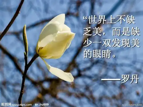 吴——广玉兰.ppt