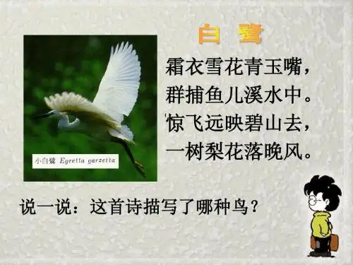 散 文 家 谈 散 文 --关于散文《白鹭》