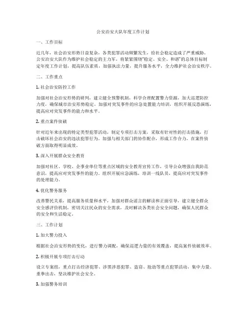 公安治安大队年度工作计划