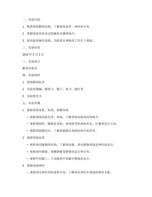 颈部实习操作实验报告