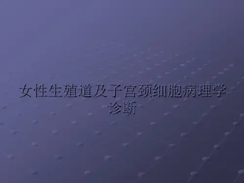 宫颈细胞学ppt课件