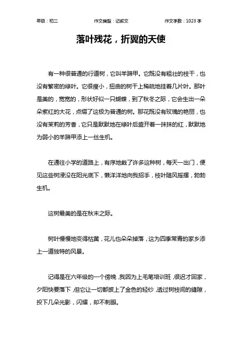 落叶残花,折翼的天使作文【初中初二1000字】