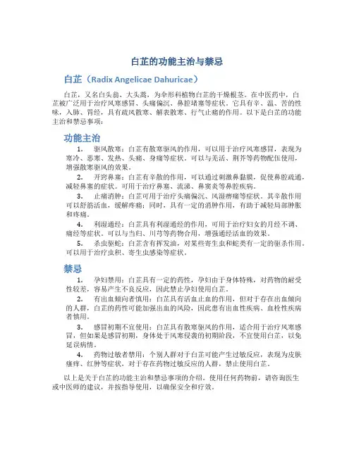 白芷的功能主治与禁忌
