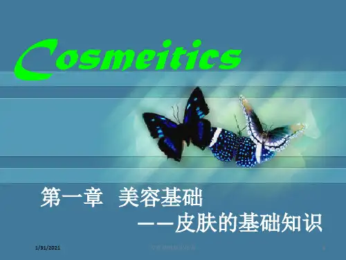 美容基础知识培训培训课件