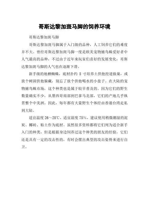 哥斯达黎加斑马脚的饲养环境
