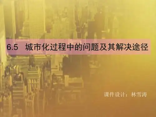 城市化过程中的问题及其解决途径 PPT课件 人教版