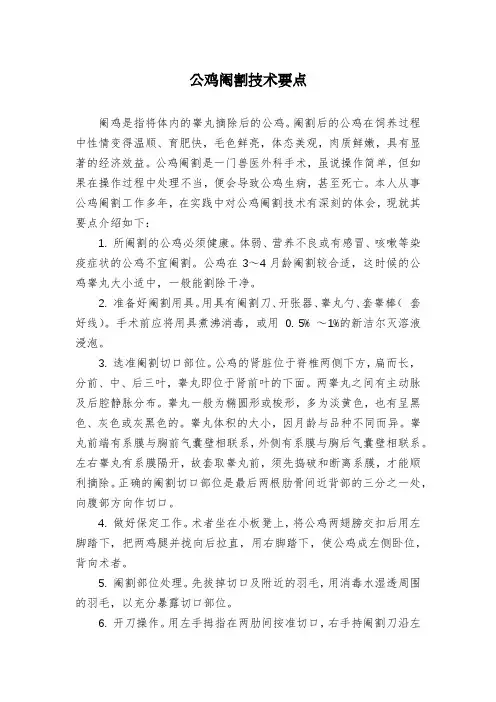 公鸡阉割技术要点