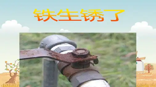 小学科学实验课件-- -铁生锈了