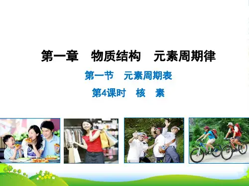 高中化学必修二：1.1.4 核 素 课件(共19张PPT)
