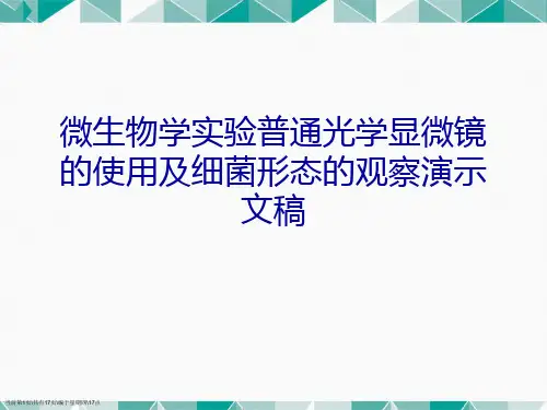 微生物学实验普通光学显微镜的使用及细菌形态的观察演示文稿