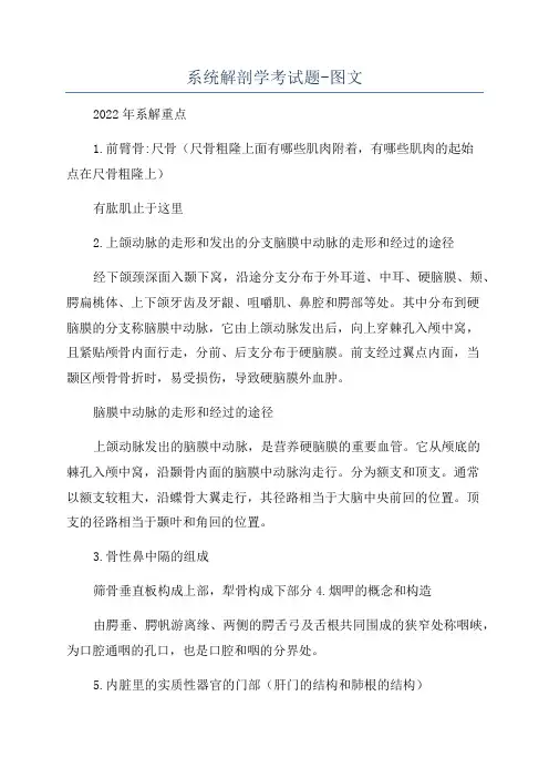 系统解剖学考试题-图文
