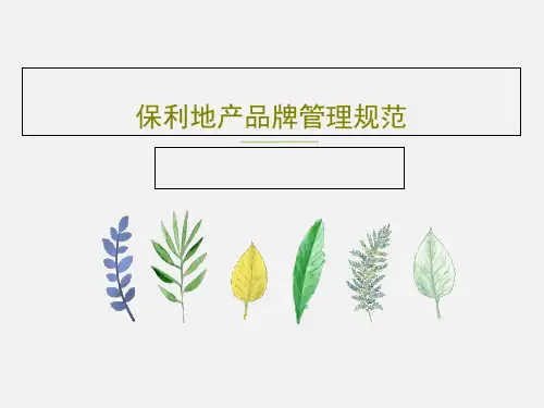 保利地产品牌管理规范PPT共80页
