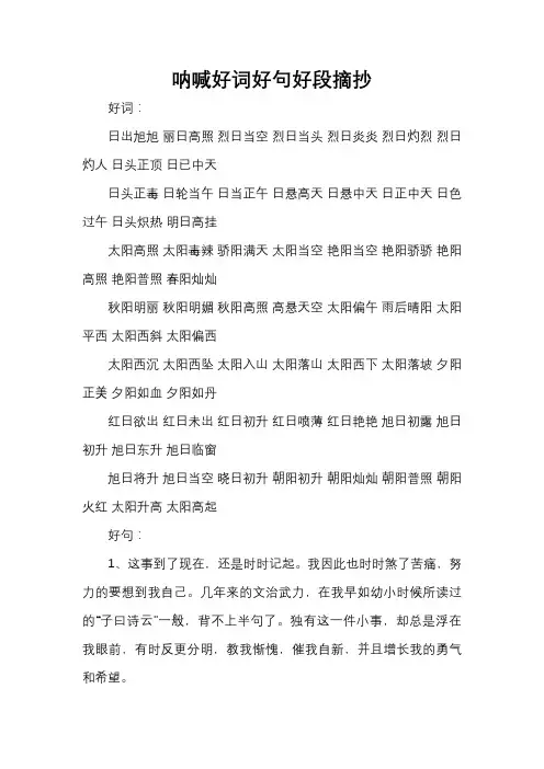 呐喊好词好句好段摘抄