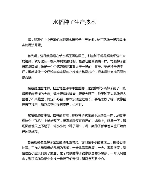 水稻种子生产技术