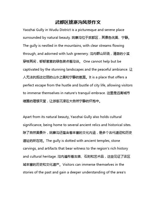 武都区姚寨沟风景作文