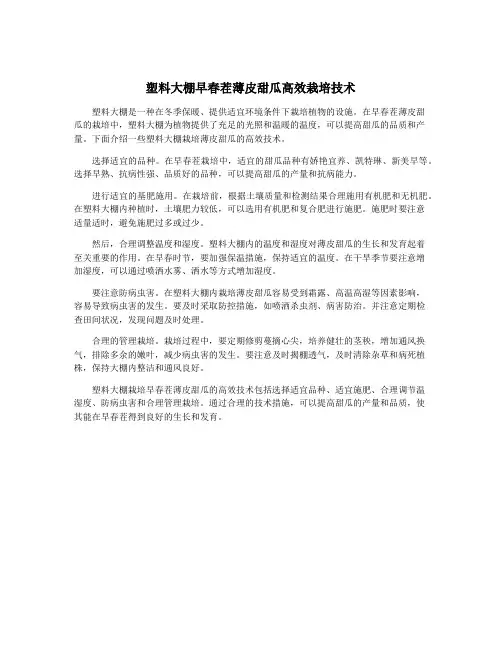 塑料大棚早春茬薄皮甜瓜高效栽培技术