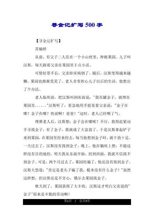 寻金记扩写500字.doc