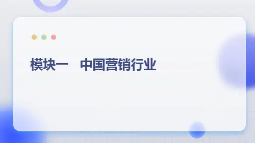 人民大2024《市场营销学》课件模块一       中国营销行业
