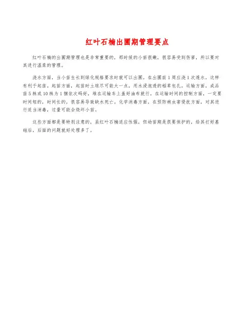 红叶石楠出圃期管理要点