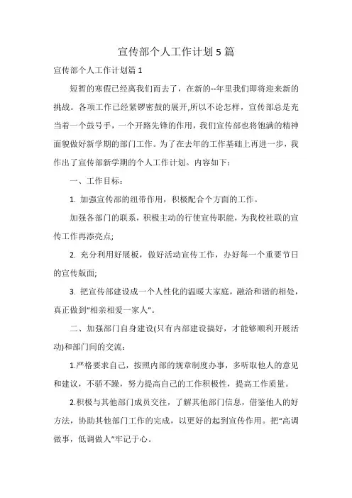 宣传部个人工作计划5篇