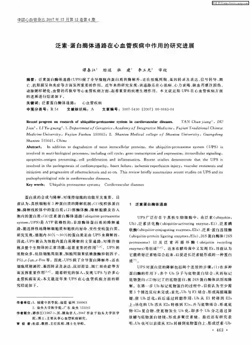 泛素-蛋白酶体通路在心血管疾病中作用的研究进展