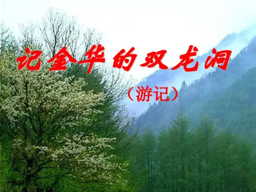 苏教版小学语文六年级下册《4、记金华的双龙洞》 (1)