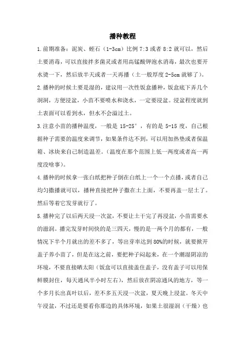 多肉播种教程