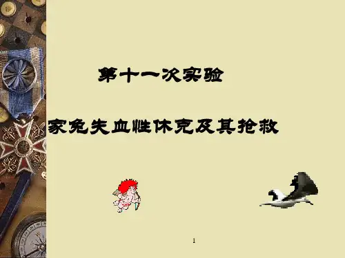 生理科学——家兔失血性休克及其抢救