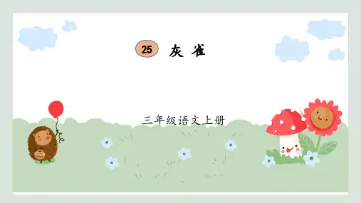 统编版三年级语文上册25.《灰雀》课件(共22张PPT)