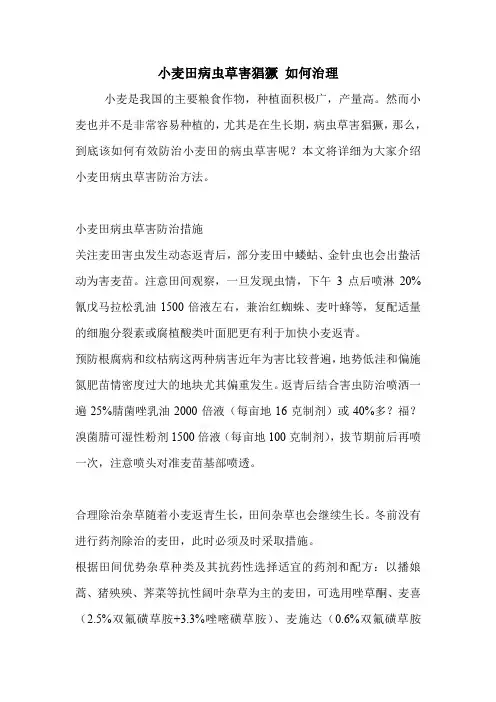 小麦田病虫草害猖獗 如何治理.doc