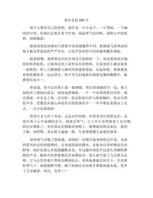 扬起勇气的风帆作文800字