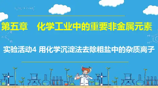 实验活动4   用化学沉淀法去除粗盐中的杂质离子(课件)高一化学(人教版2019必修第二册)