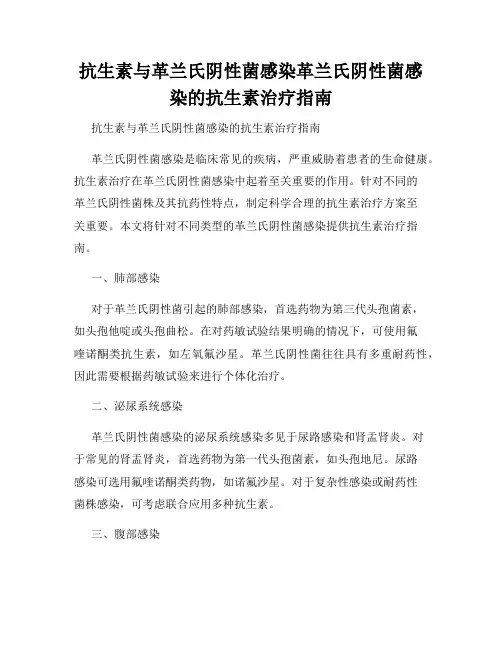 抗生素与革兰氏阴性菌感染革兰氏阴性菌感染的抗生素治疗指南