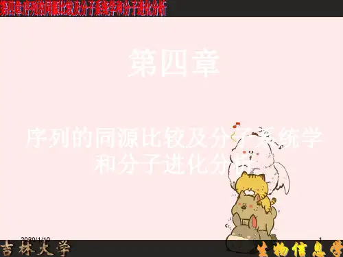 第四章、序列的同源比较及分子系统学和分子进化分析1