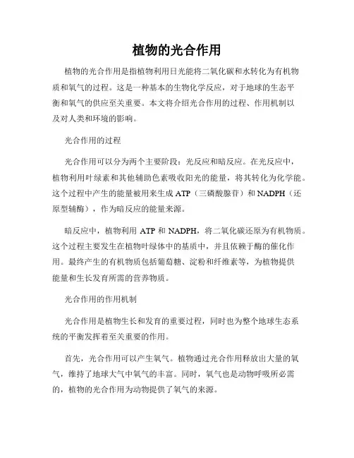 植物的光合作用