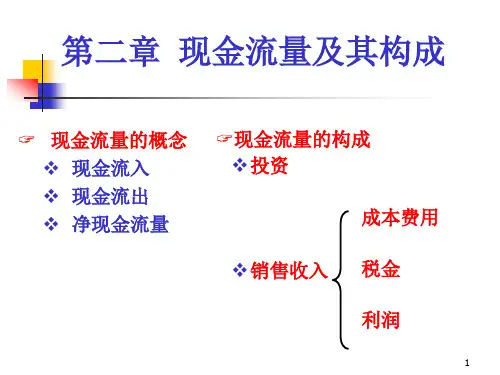 现金流量及其构成(PPT 48页)