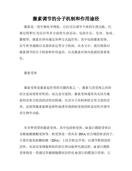 激素调节的分子机制和作用途径