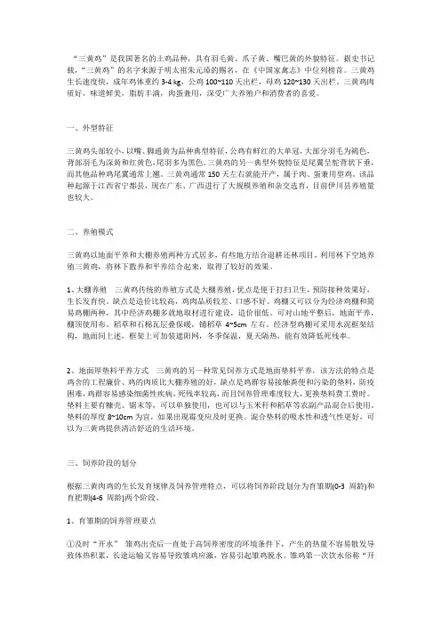 三黄肉鸡饲养管理技术