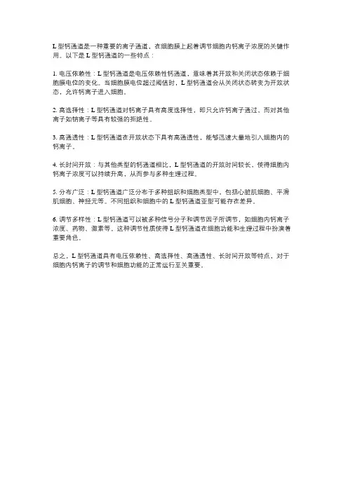 l型钙通道特点