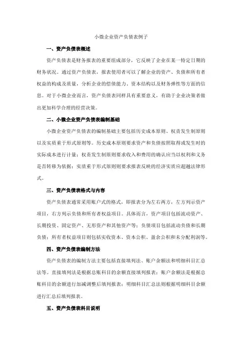 小微企业资产负债表例子