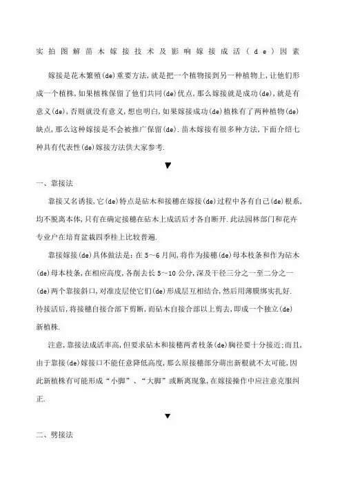 实拍图解苗木嫁接技术及影响嫁接成活的因素