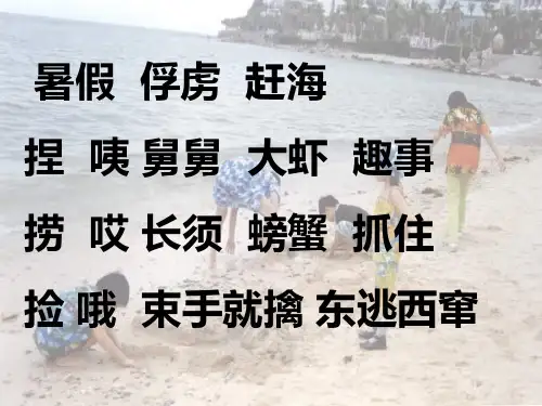 赶海精品PPT课件