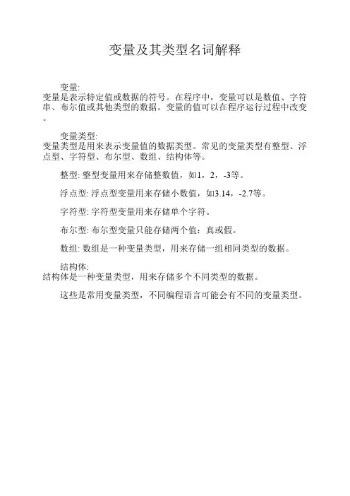 变量及其类型名词解释