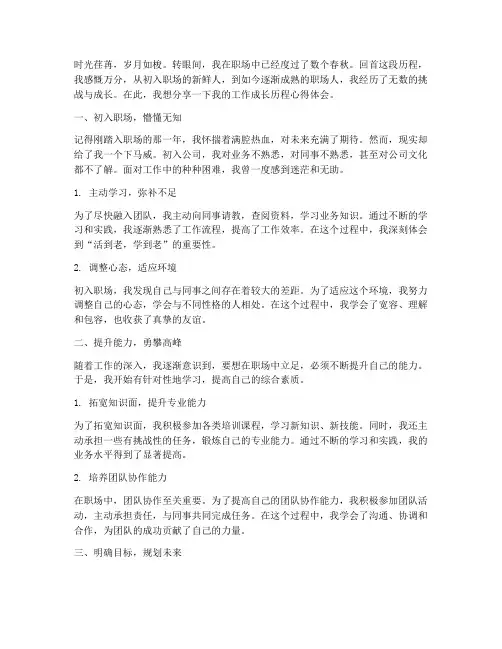 工作成长历程的心得体会