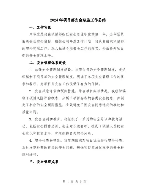 2024年项目部安全总监工作总结