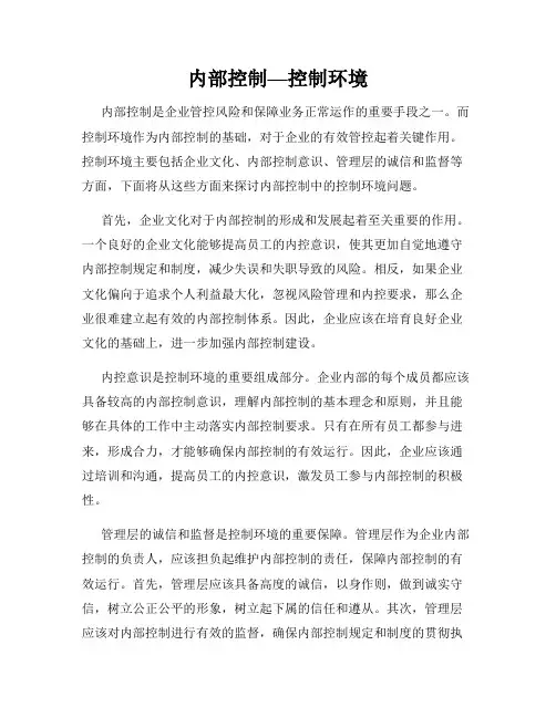 内部控制—控制环境