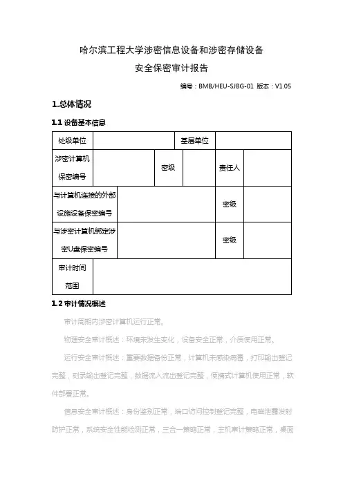 计算机审计报告